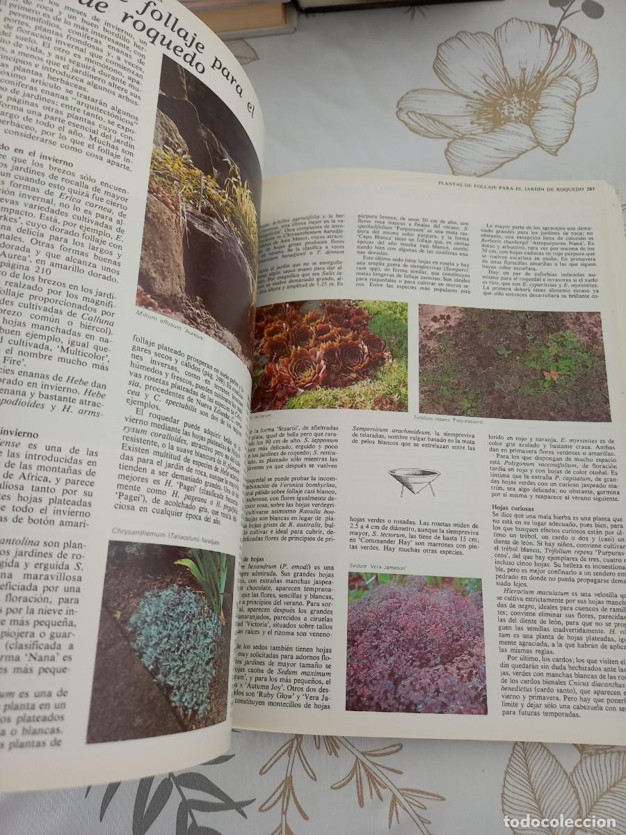 Libros de segunda mano: EL GRAN LIBRO DEL JARDIN - ED. BLUME 1983 2 TOMOS EN 1 - Foto 3