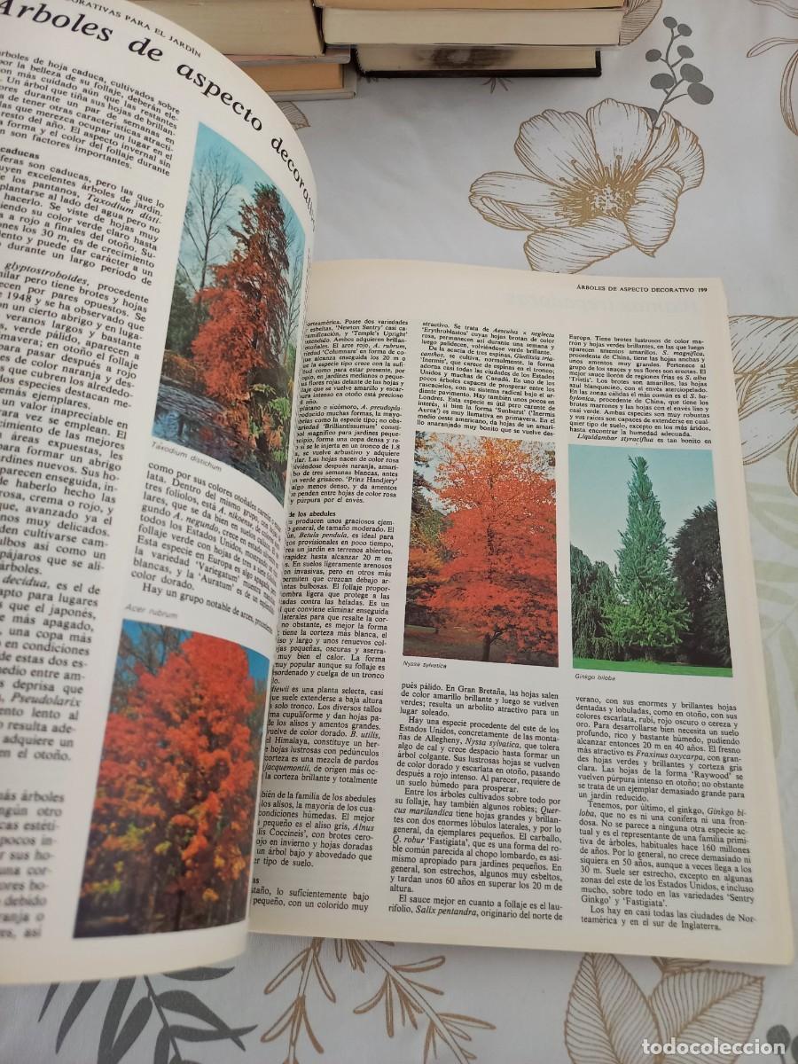 Libros de segunda mano: EL GRAN LIBRO DEL JARDIN - ED. BLUME 1983 2 TOMOS EN 1 - Foto 4