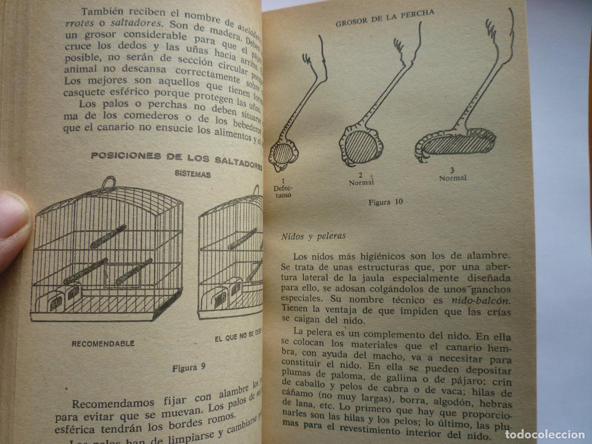 Libros de segunda mano: PAJAROS DOMESTICOS - MARTIN BLAY - Foto 3