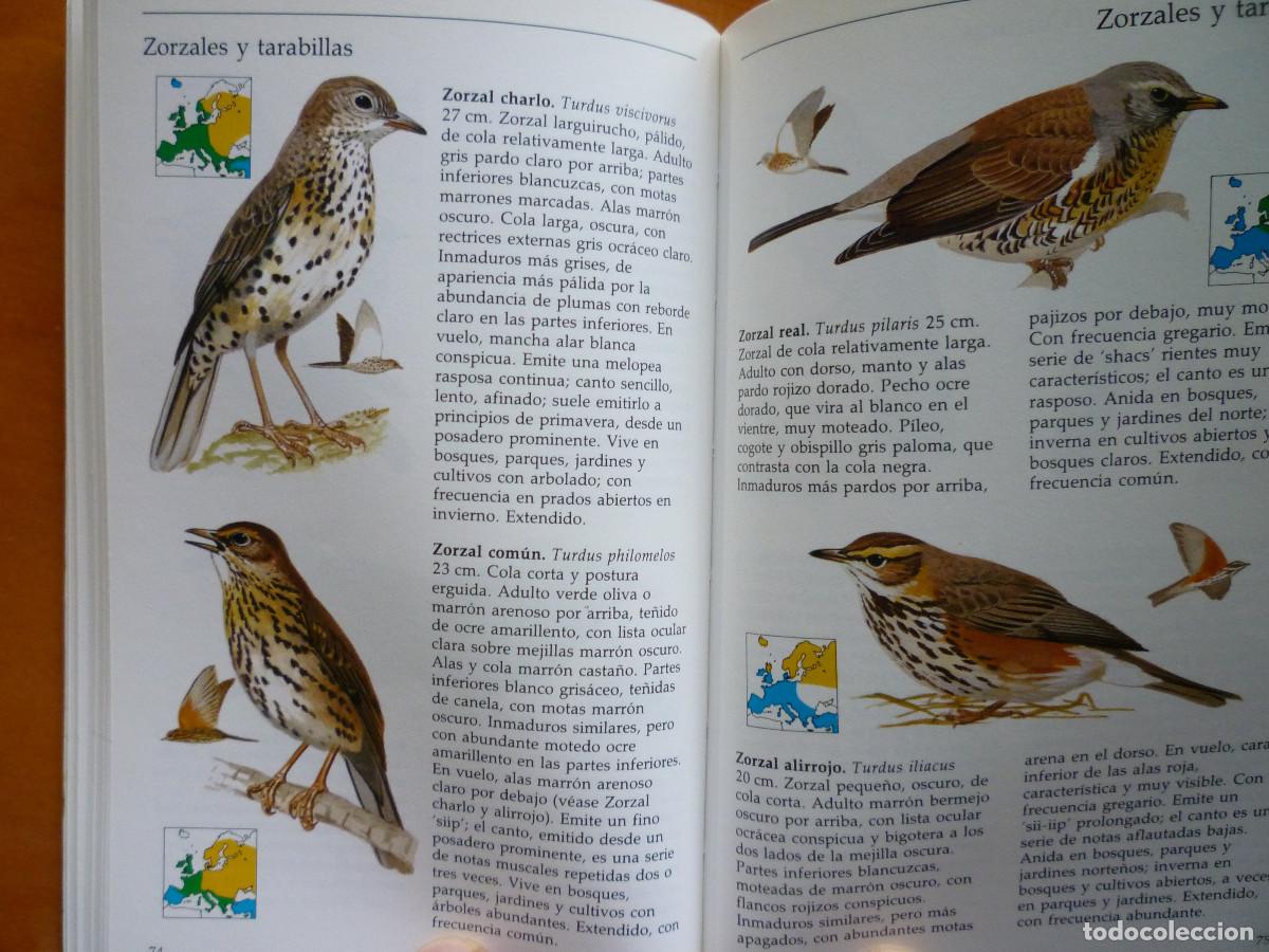 Libros de segunda mano: GUIA CELESTE DE LAS AVES - Foto 5