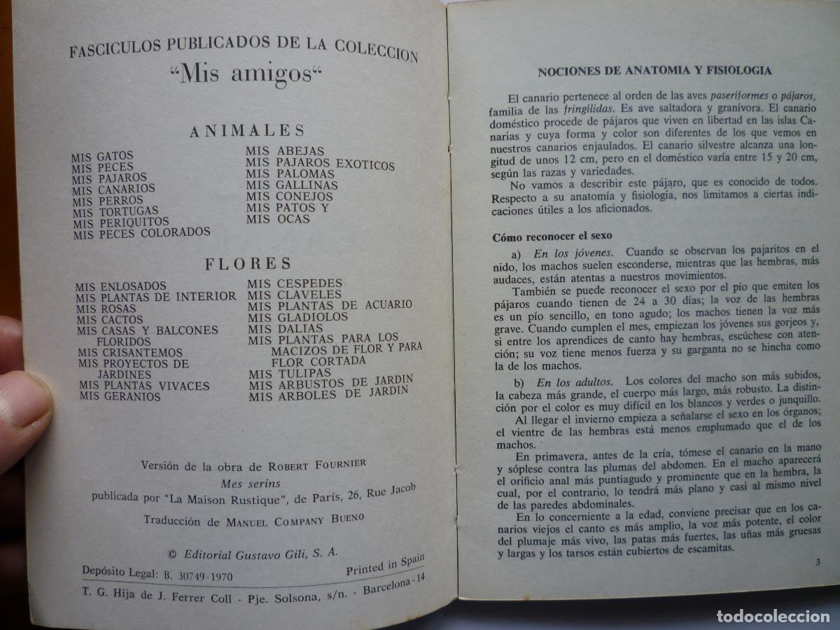 Libros de segunda mano: MIS CANARIOS - VERSION DE LA OBRA DE ROBERT FOURNIER - Foto 2