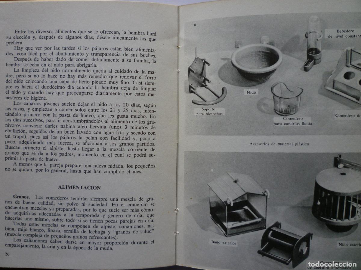 Libros de segunda mano: MIS CANARIOS - VERSION DE LA OBRA DE ROBERT FOURNIER - Foto 3