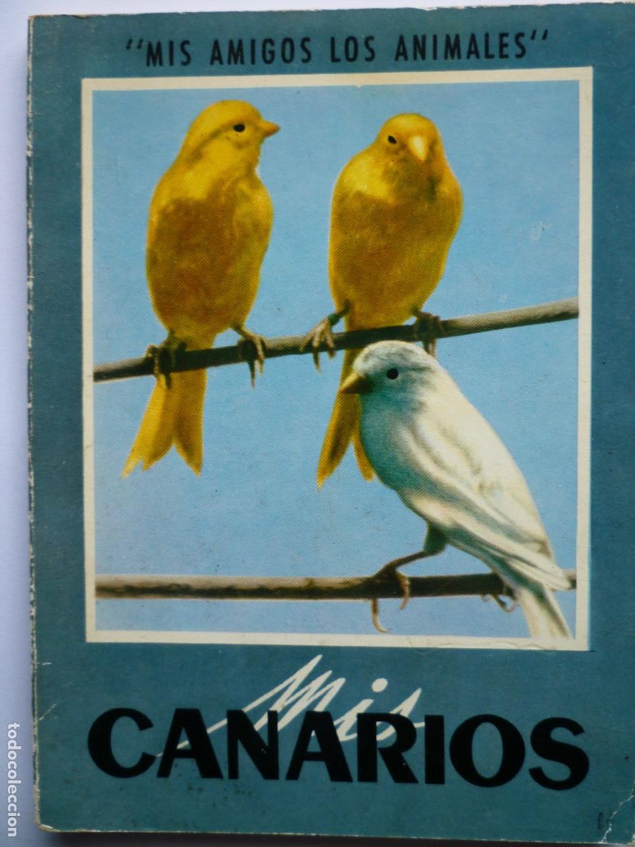 Libros de segunda mano: MIS CANARIOS - VERSION DE LA OBRA DE ROBERT FOURNIER - Foto 1