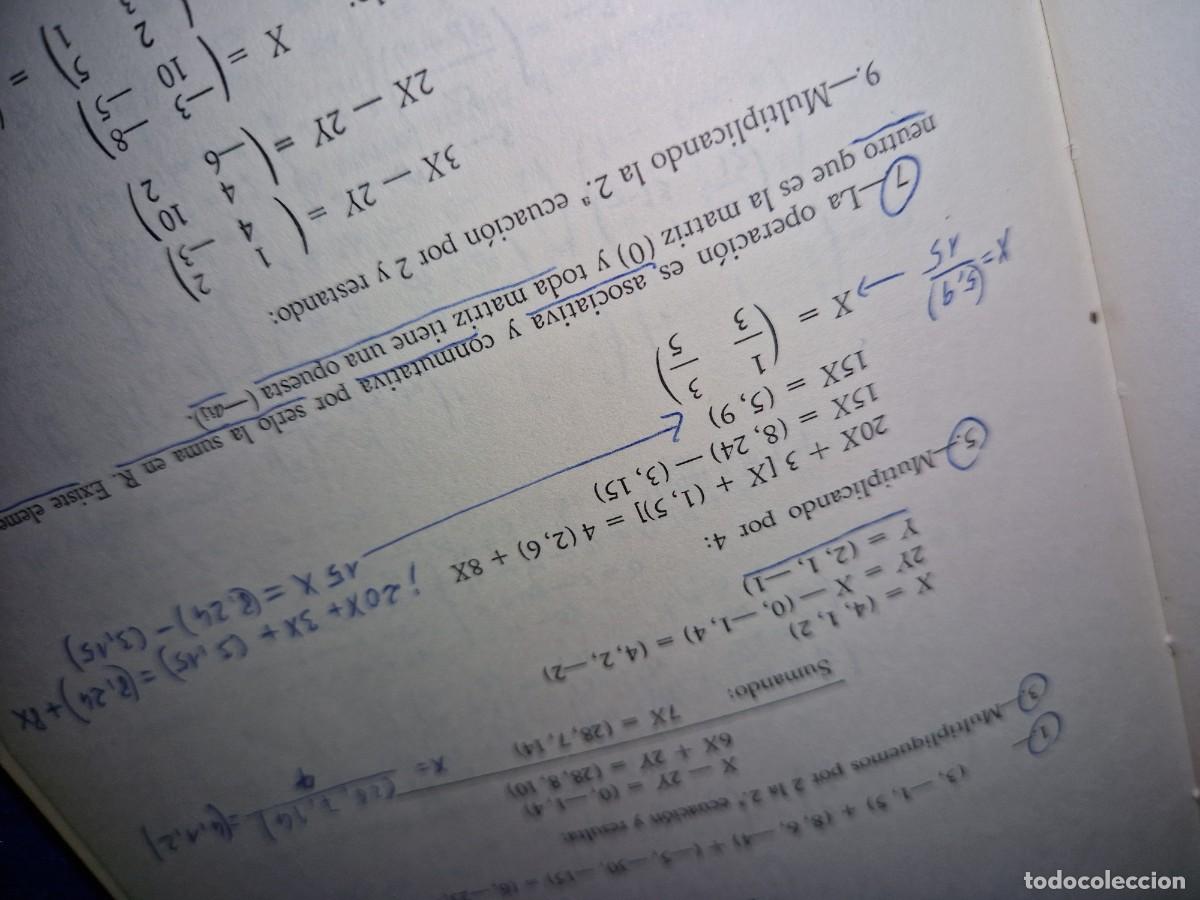 Libros de segunda mano de ciencias: MATEMATICAS COU- PROBLEMAS RESUELTOS - MARCOS LANUZA - Foto 5
