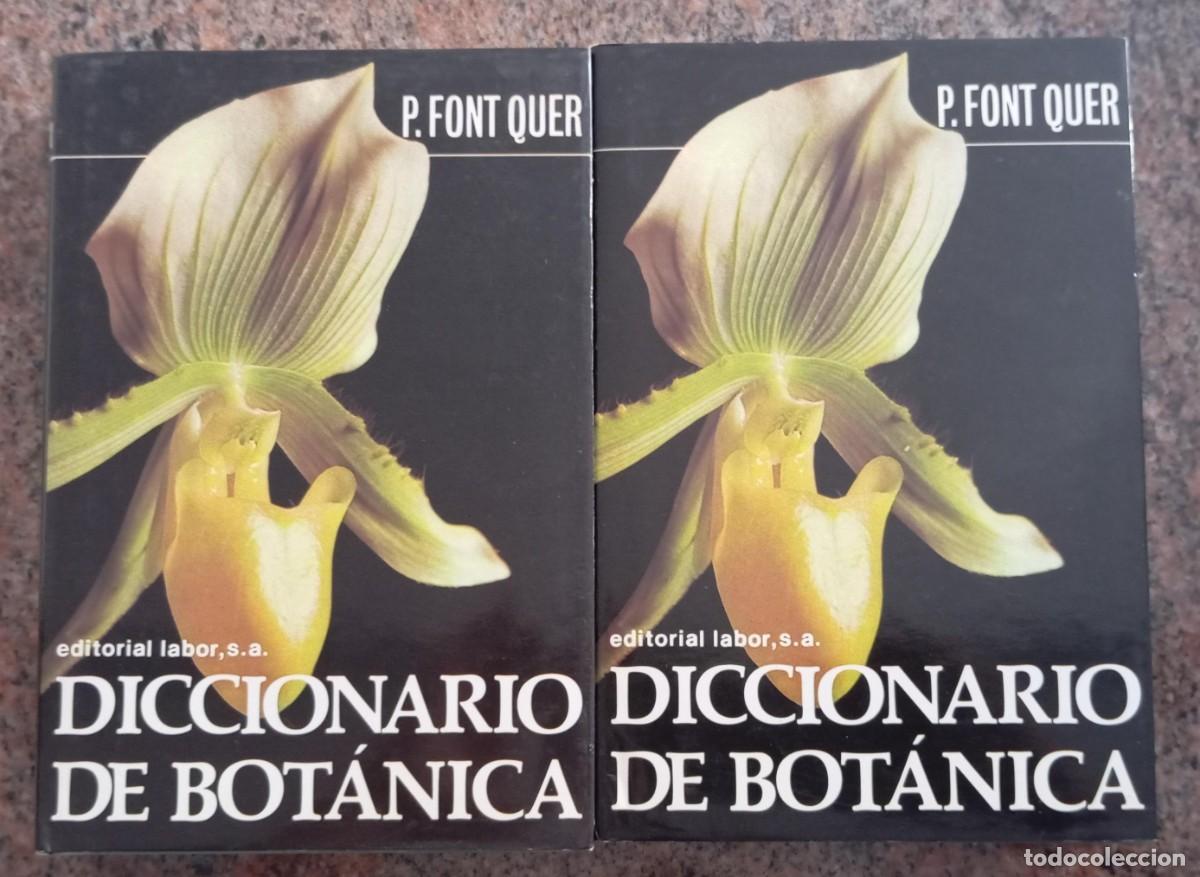 Libros de segunda mano: DICCIONARIO DE BOTANICA - PIO FONT QUER- 2 TOMOS - Foto 1