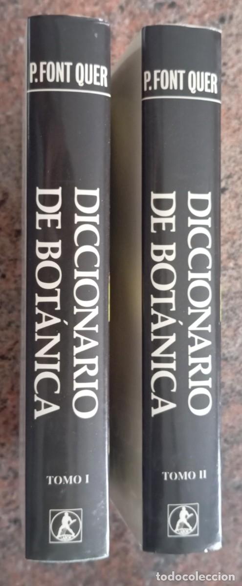 Libros de segunda mano: DICCIONARIO DE BOTANICA - PIO FONT QUER- 2 TOMOS - Foto 2