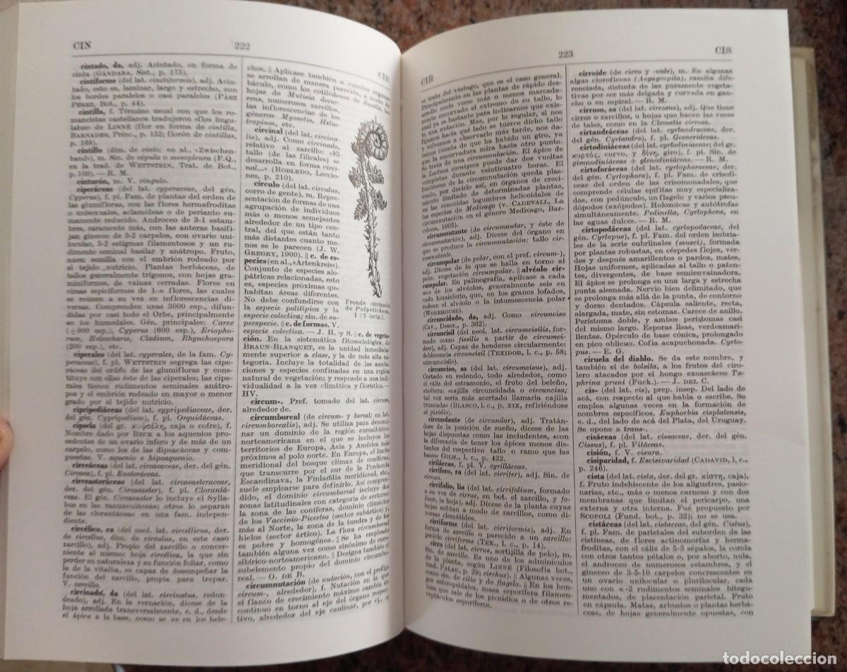 Libros de segunda mano: DICCIONARIO DE BOTANICA - PIO FONT QUER- 2 TOMOS - Foto 3