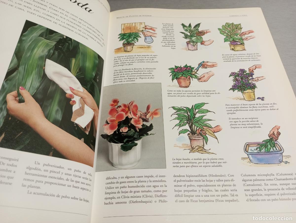 Libros de segunda mano: EL LIBRO DE ORO DE LAS PLANTAS DE INTERIOR / EDITORIAL LIBSA 1998 - Foto 2