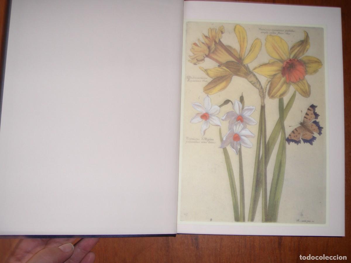 Libros de segunda mano: EL JARD&Iacute;N Y SUS SIMBOLOS - Foto 3