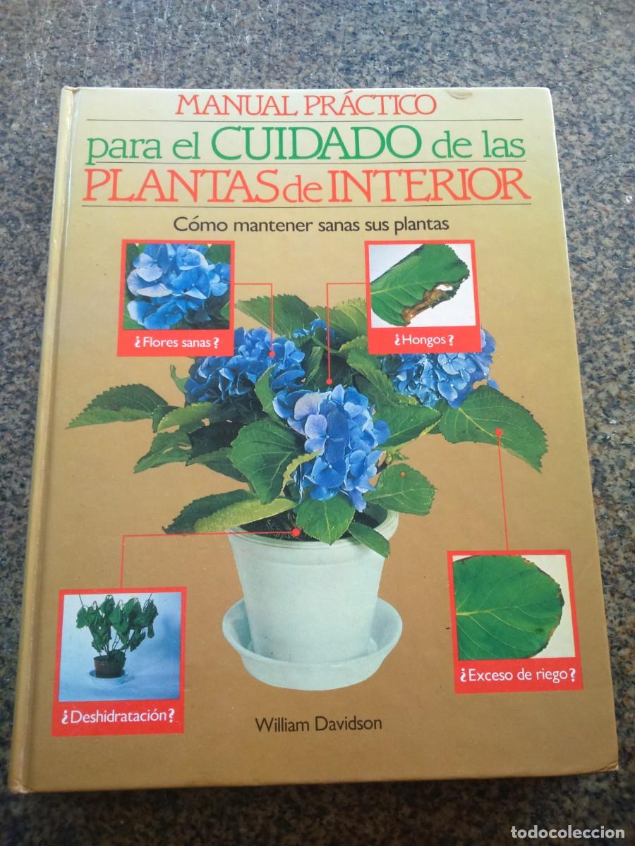 Libros de segunda mano: MANUAL PRACTICO PARA EL CUIDADO DE LAS PLANTAS DE INTERIOR -- WILLIAM DAVIDSON -- 1986 -- - Foto 1
