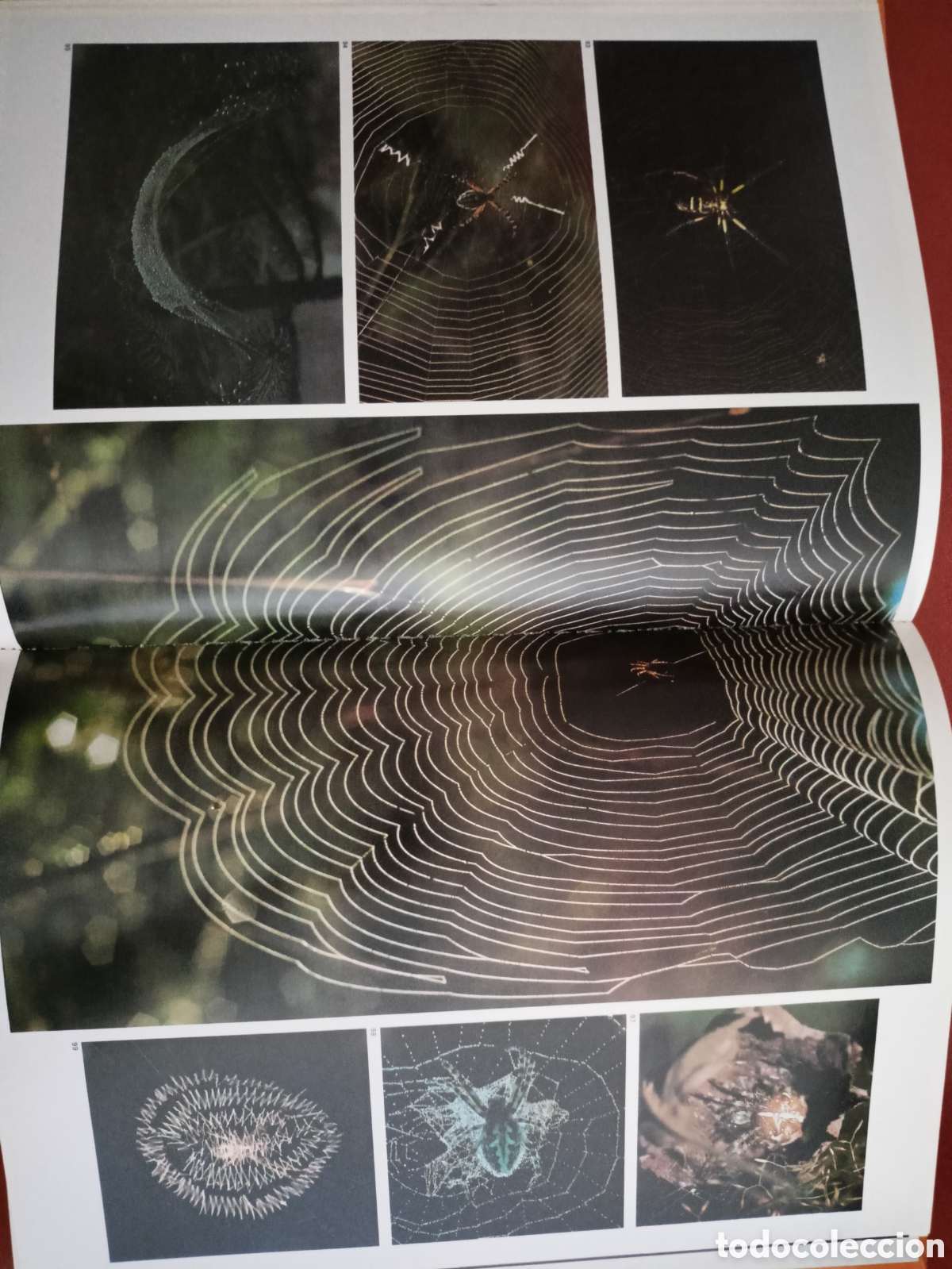 Libros de segunda mano: La naturaleza. Jaimes libros - Foto 3