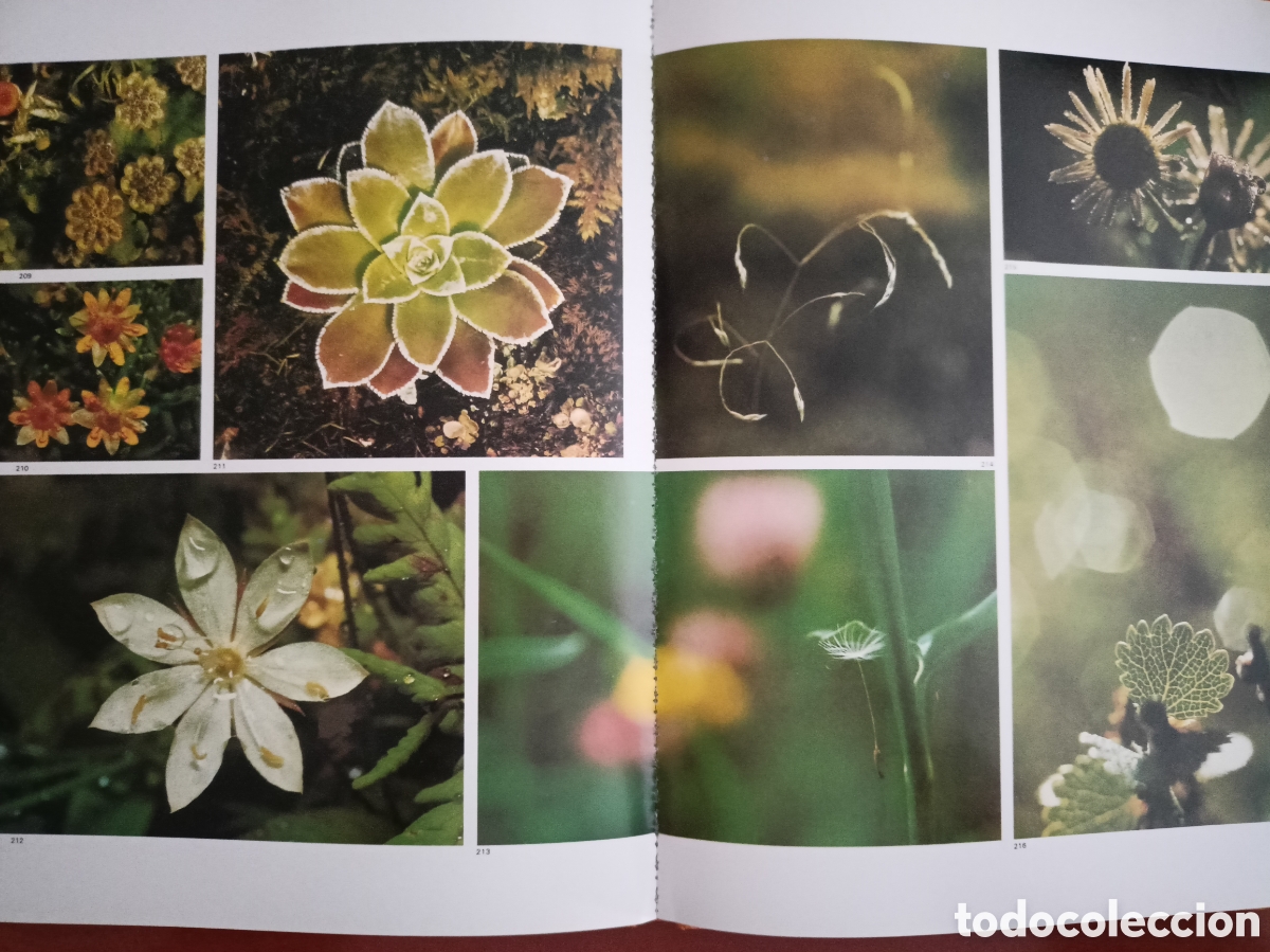 Libros de segunda mano: La naturaleza. Jaimes libros - Foto 4