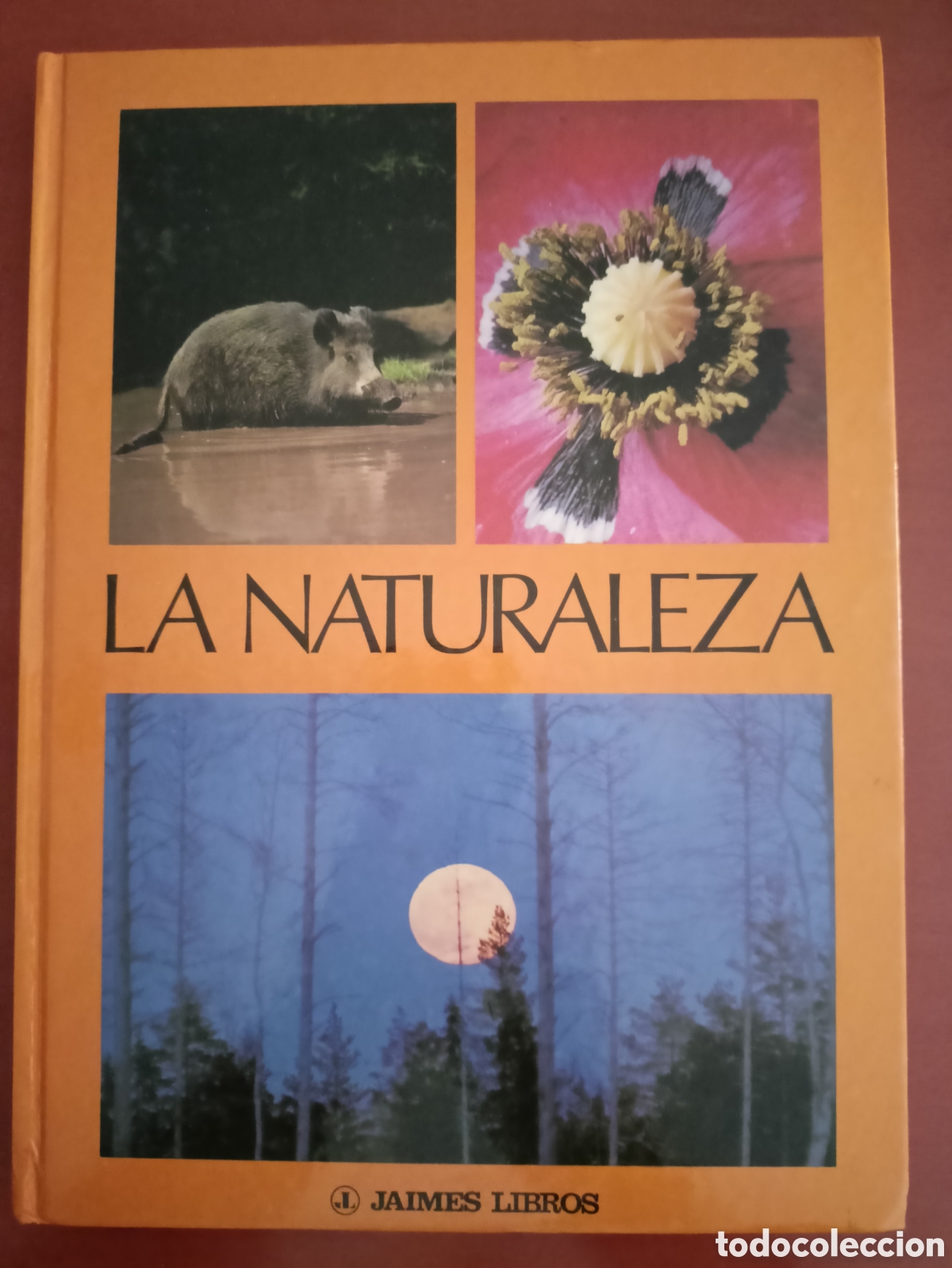 Libros de segunda mano: La naturaleza. Jaimes libros - Foto 1