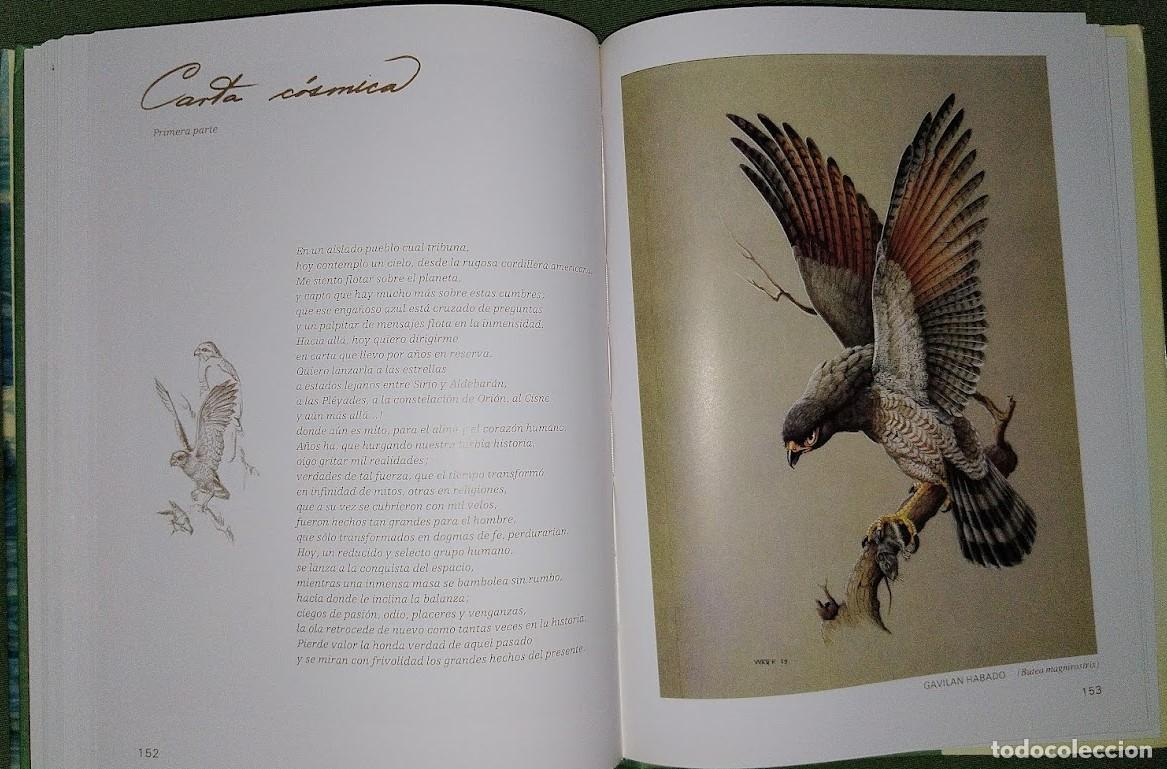 Libros de segunda mano: ALAS DE MI TIERRA Y DE MI ALMA - WALTER ARP - Foto 2