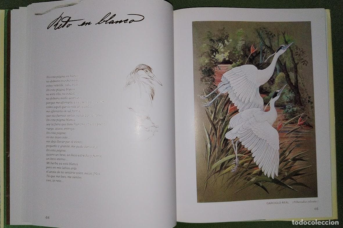 Libros de segunda mano: ALAS DE MI TIERRA Y DE MI ALMA - WALTER ARP - Foto 5