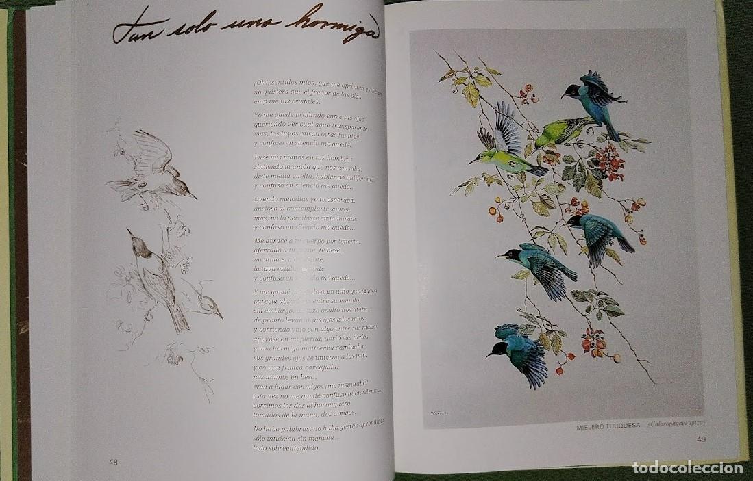 Libros de segunda mano: ALAS DE MI TIERRA Y DE MI ALMA - WALTER ARP - Foto 6