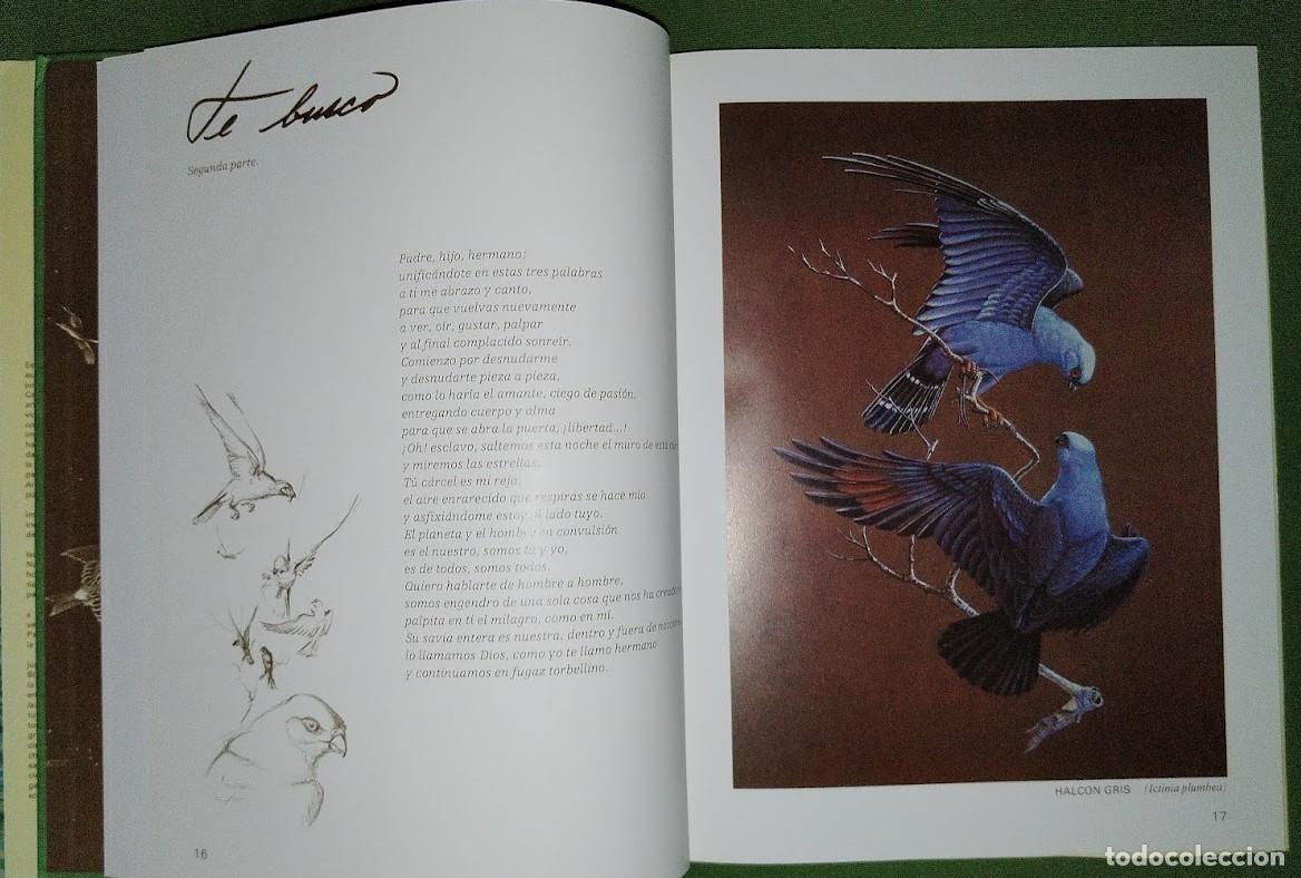 Libros de segunda mano: ALAS DE MI TIERRA Y DE MI ALMA - WALTER ARP - Foto 7