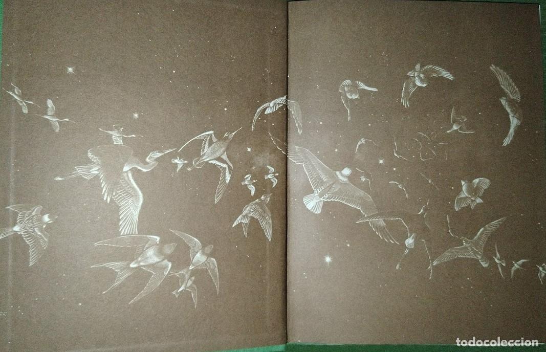 Libros de segunda mano: ALAS DE MI TIERRA Y DE MI ALMA - WALTER ARP - Foto 8