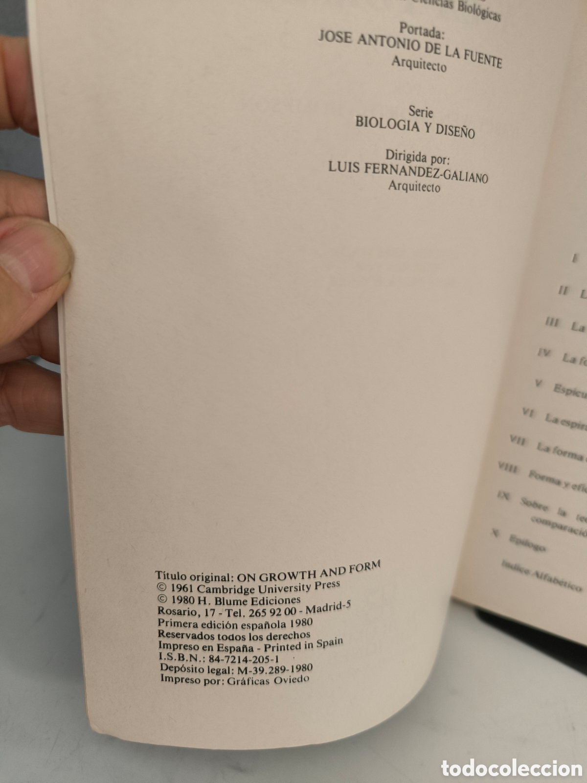 Libros de segunda mano: Sobre el crecimiento y la forma. Darcy Thompson. - Foto 5