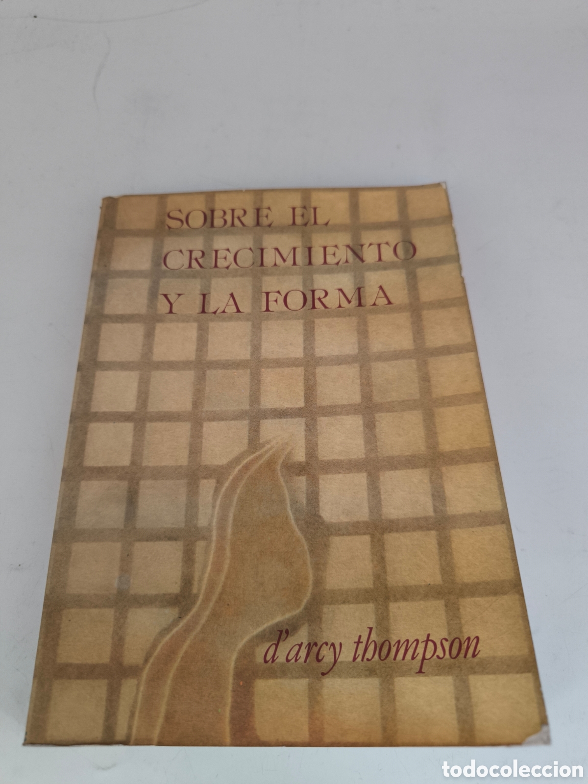 Libros de segunda mano: Sobre el crecimiento y la forma. Darcy Thompson. - Foto 1
