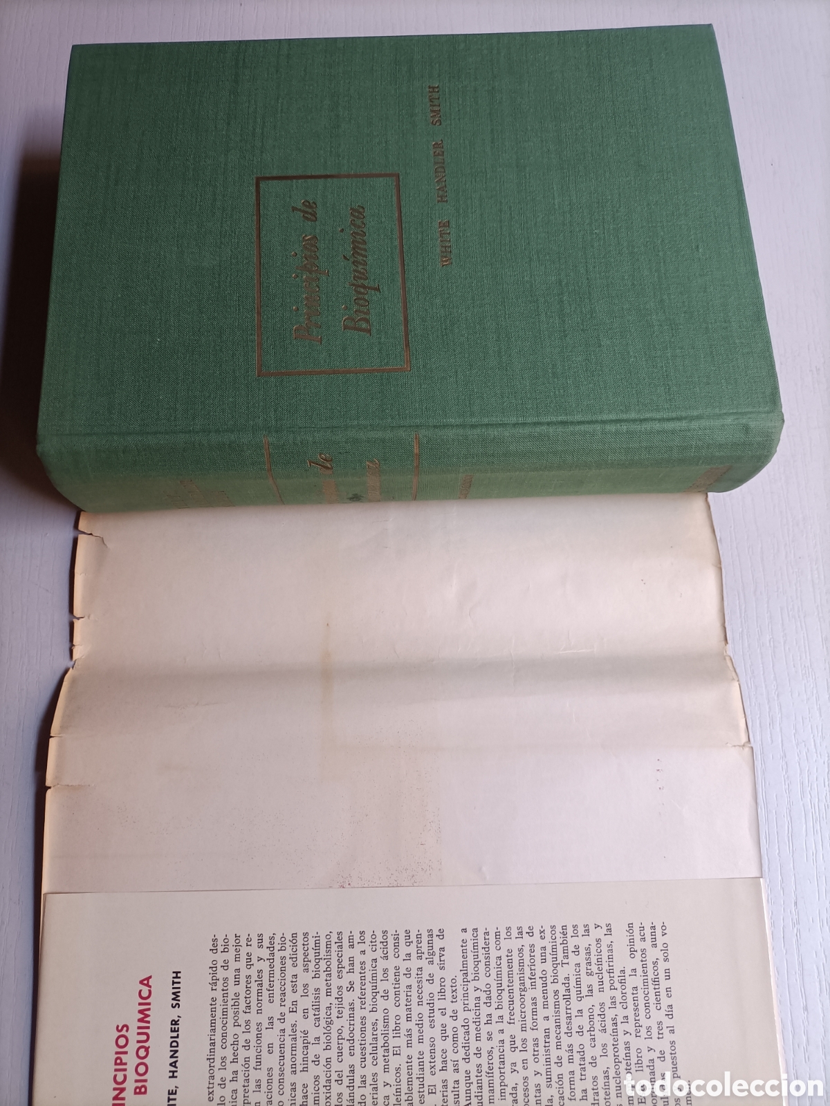 Libros de segunda mano de ciencias: Principios de Bioqu&iacute;mica White Handler Smith.. cuarta edici&oacute;n - Foto 7