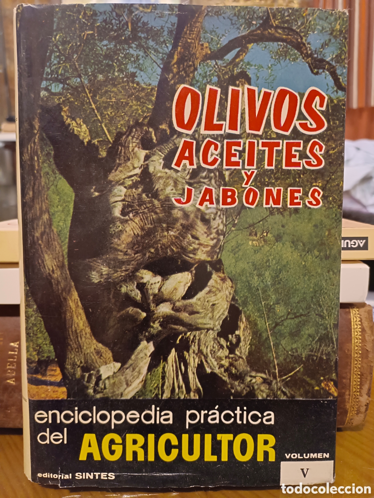 Libros de segunda mano: Olivos Aceites y Jabones - Foto 1