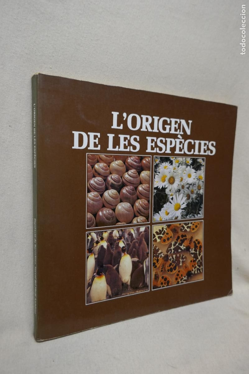 Libros de segunda mano: LORIGEN DE LES ESP&Egrave;CIES - DIPUTACI&Oacute; DE BARCELONA - Foto 2