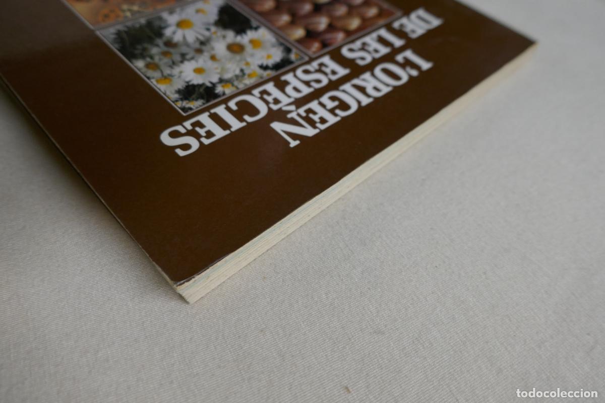 Libros de segunda mano: LORIGEN DE LES ESP&Egrave;CIES - DIPUTACI&Oacute; DE BARCELONA - Foto 3
