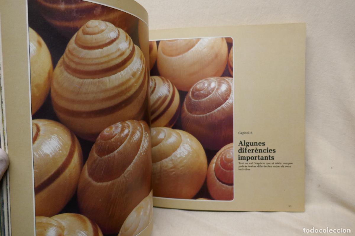 Libros de segunda mano: LORIGEN DE LES ESP&Egrave;CIES - DIPUTACI&Oacute; DE BARCELONA - Foto 10