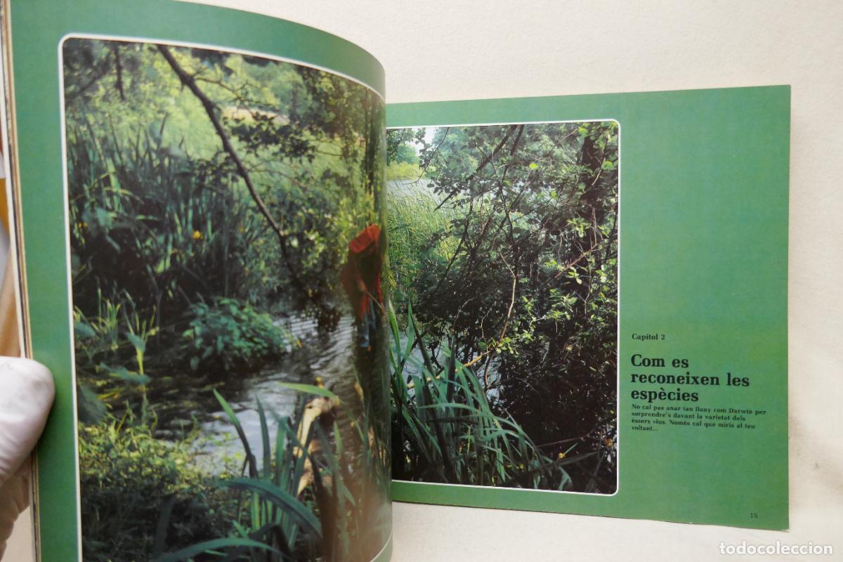 Libros de segunda mano: LORIGEN DE LES ESP&Egrave;CIES - DIPUTACI&Oacute; DE BARCELONA - Foto 14