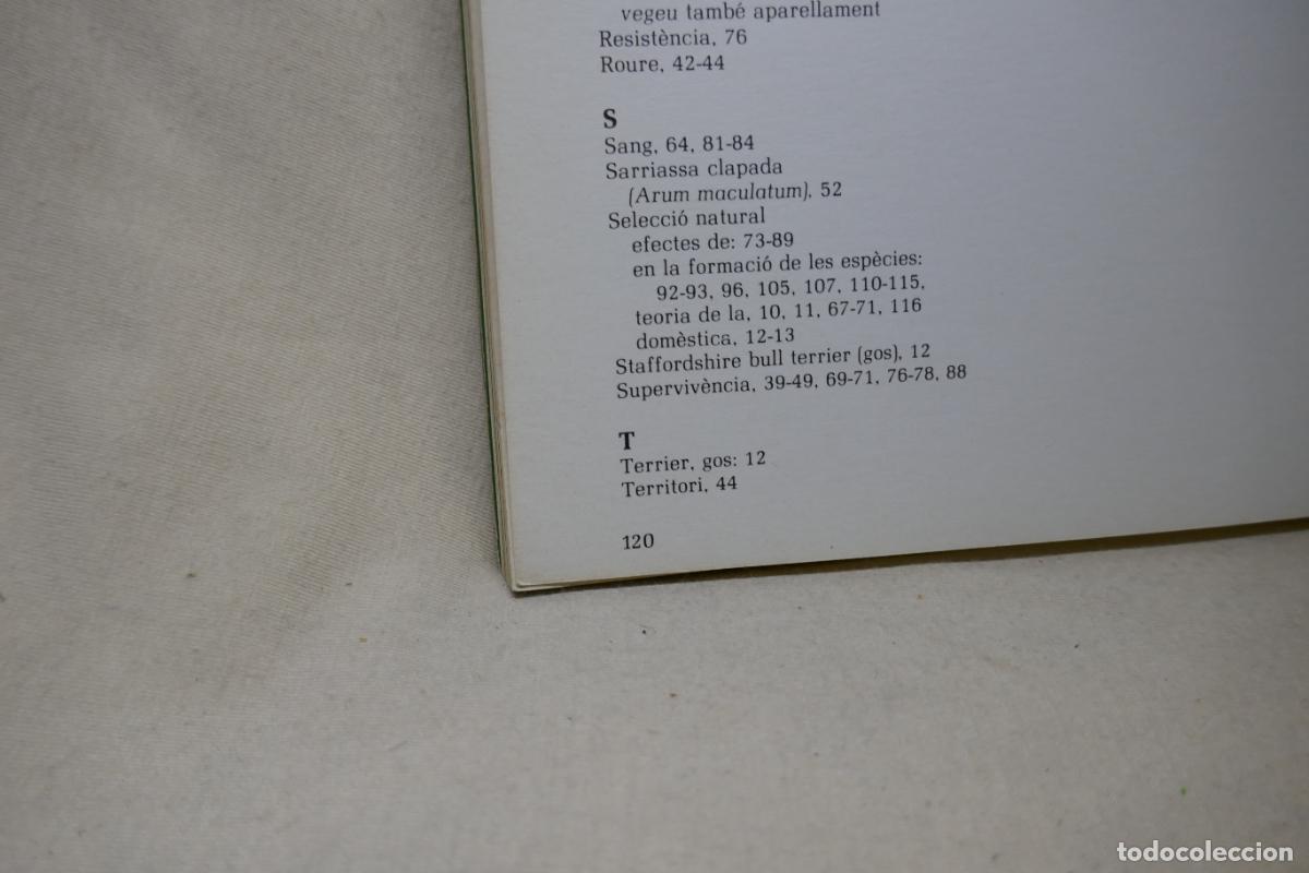 Libros de segunda mano: LORIGEN DE LES ESP&Egrave;CIES - DIPUTACI&Oacute; DE BARCELONA - Foto 15
