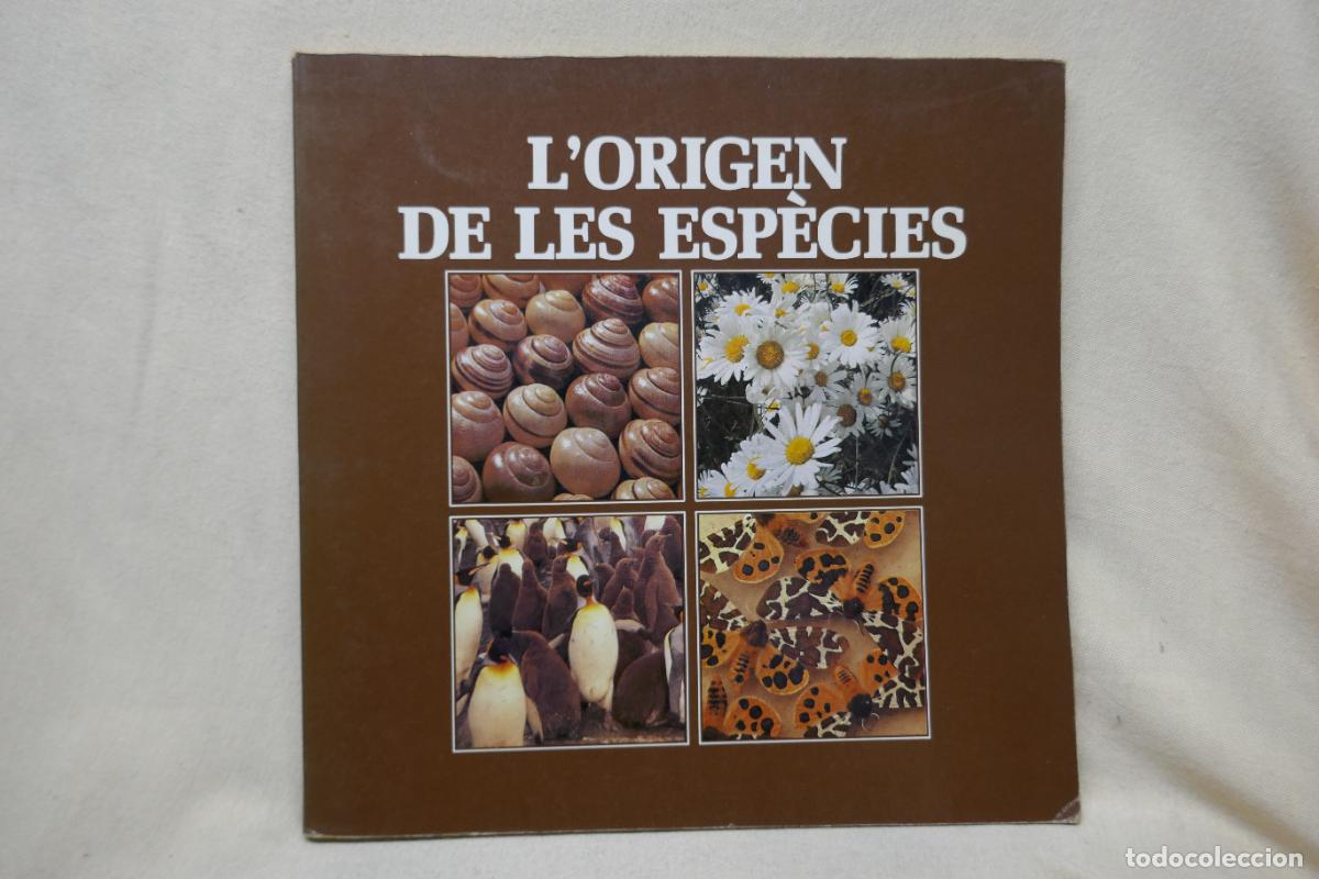 Libros de segunda mano: LORIGEN DE LES ESP&Egrave;CIES - DIPUTACI&Oacute; DE BARCELONA - Foto 1