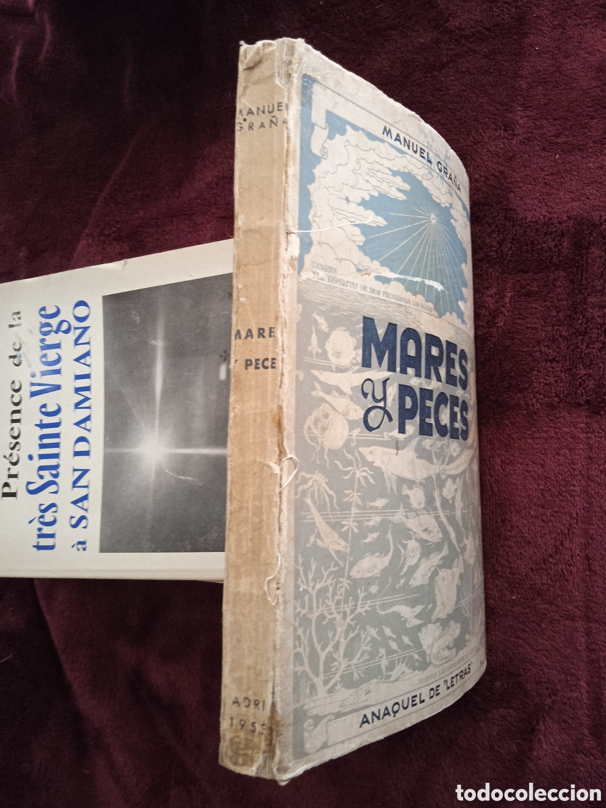Libros de segunda mano: MARES Y PECES. / MANUEL GRA&Ntilde;A - MADRID 1953 - Foto 3