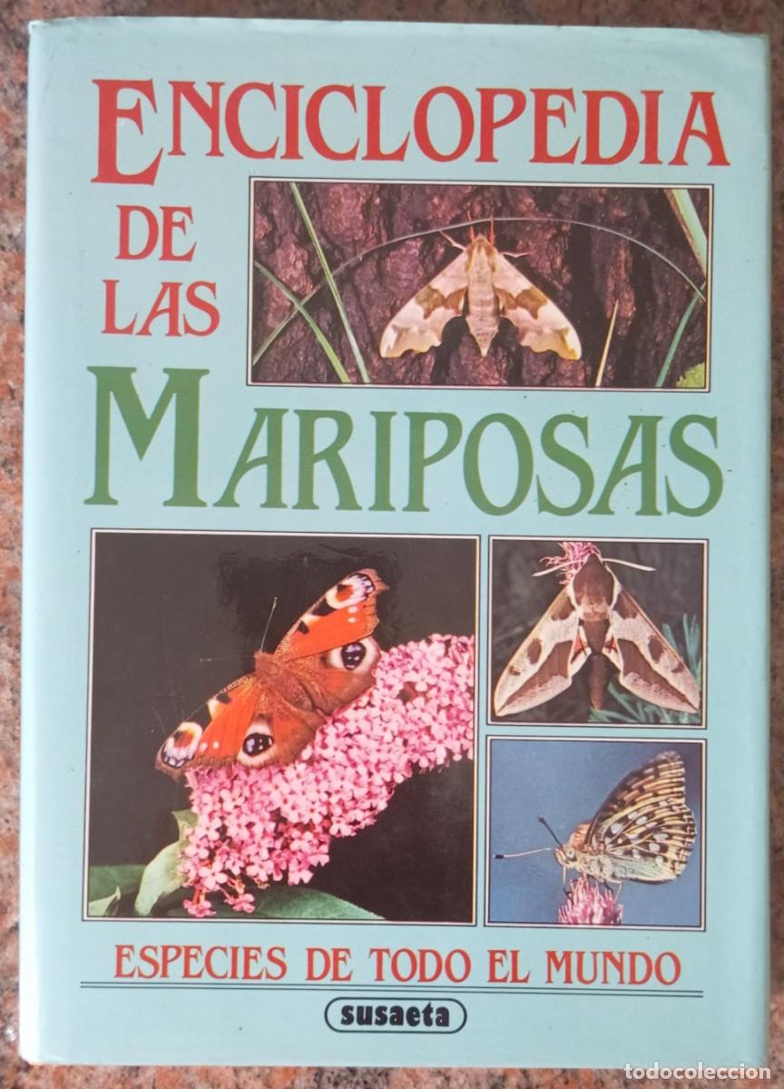 Libros de segunda mano: ENCICLOPEDIA DE LAS MARIPOSAS - SUSAETA - Foto 1