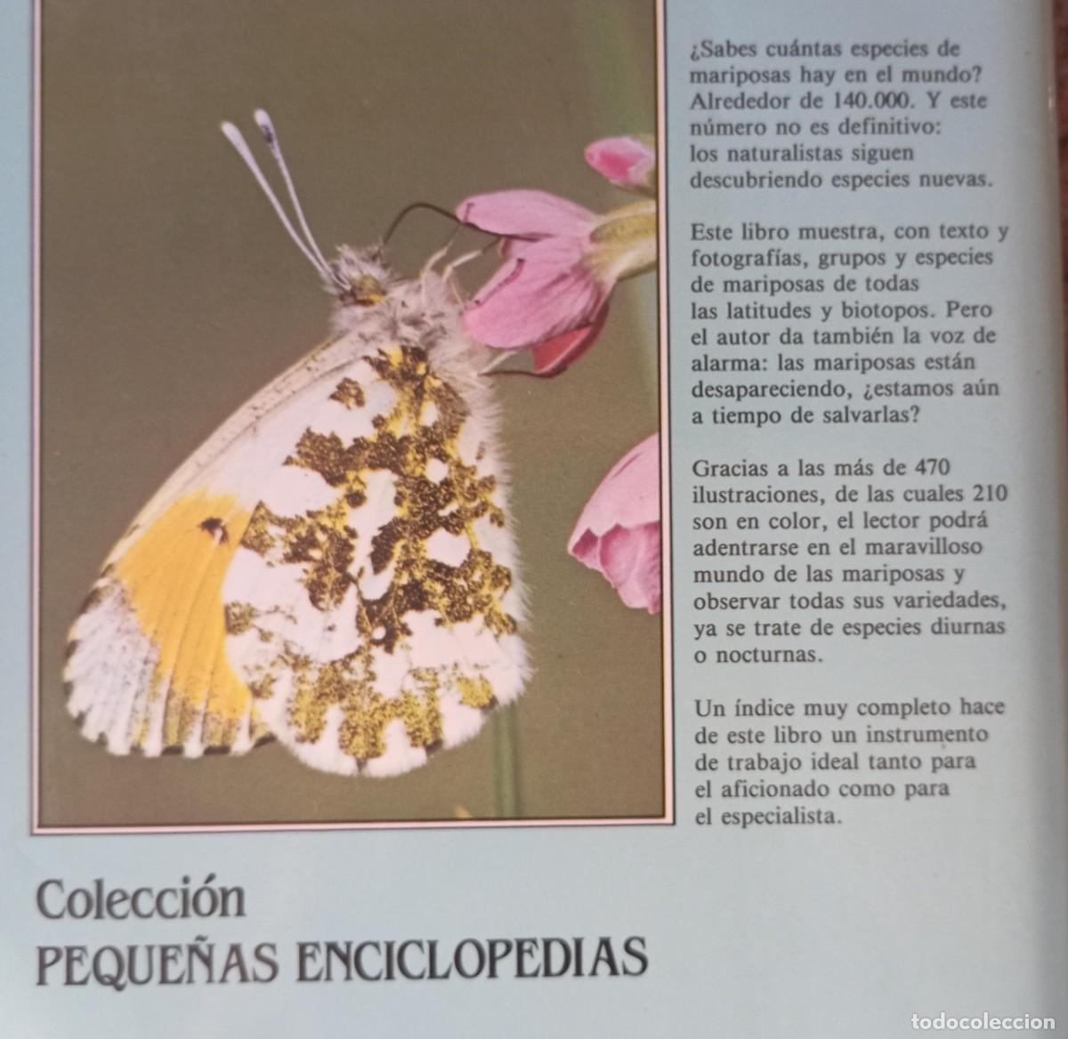 Libros de segunda mano: ENCICLOPEDIA DE LAS MARIPOSAS - SUSAETA - Foto 5