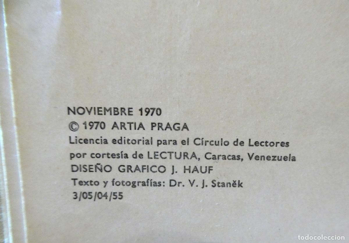Libros de segunda mano: GRAN ENCICLOPEDIA ILUSTRADA DE LOS INSECTOS Circulo de Lectores 1970 - Foto 3