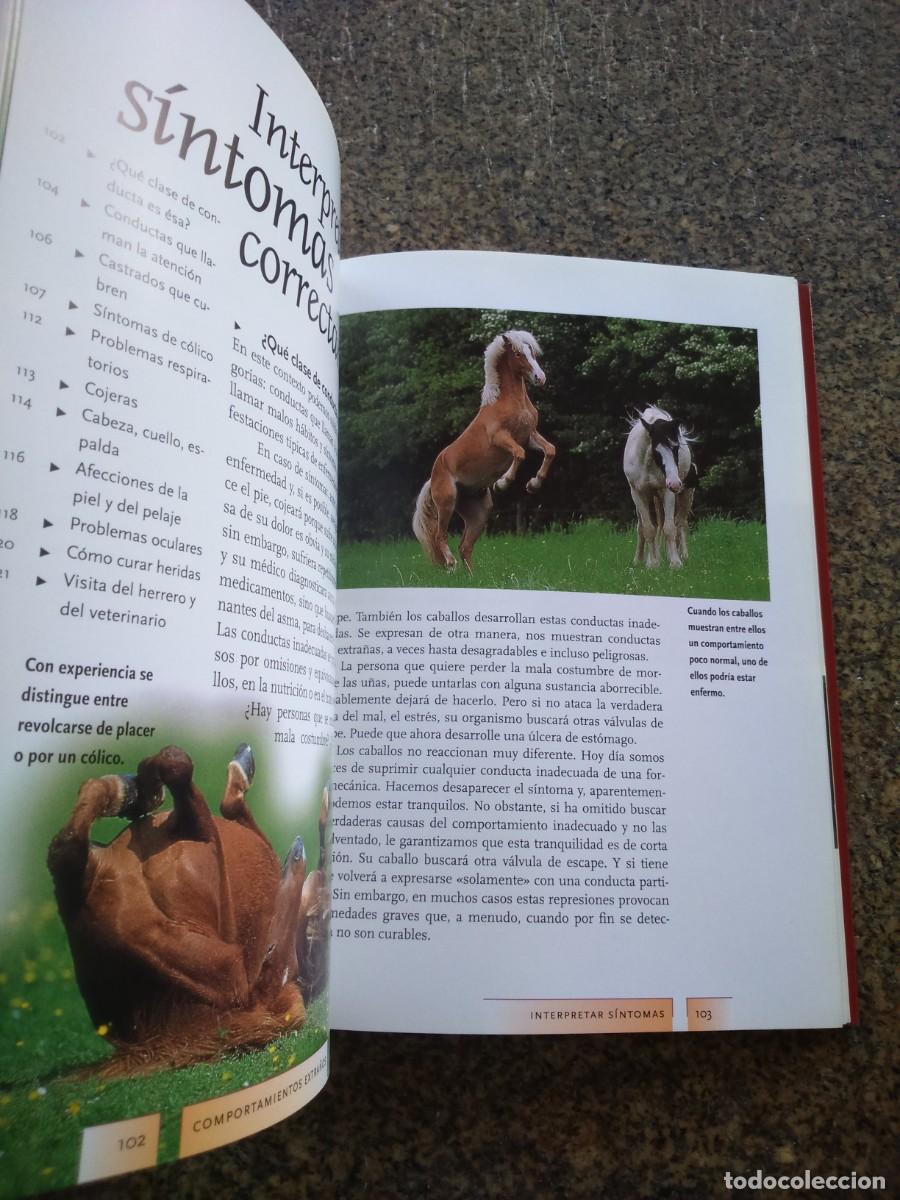 Libros de segunda mano: COMUNICARSE CON LOS CABALLOS -- KIRSTIN ZOLLER -- OMEGA -- - Foto 2