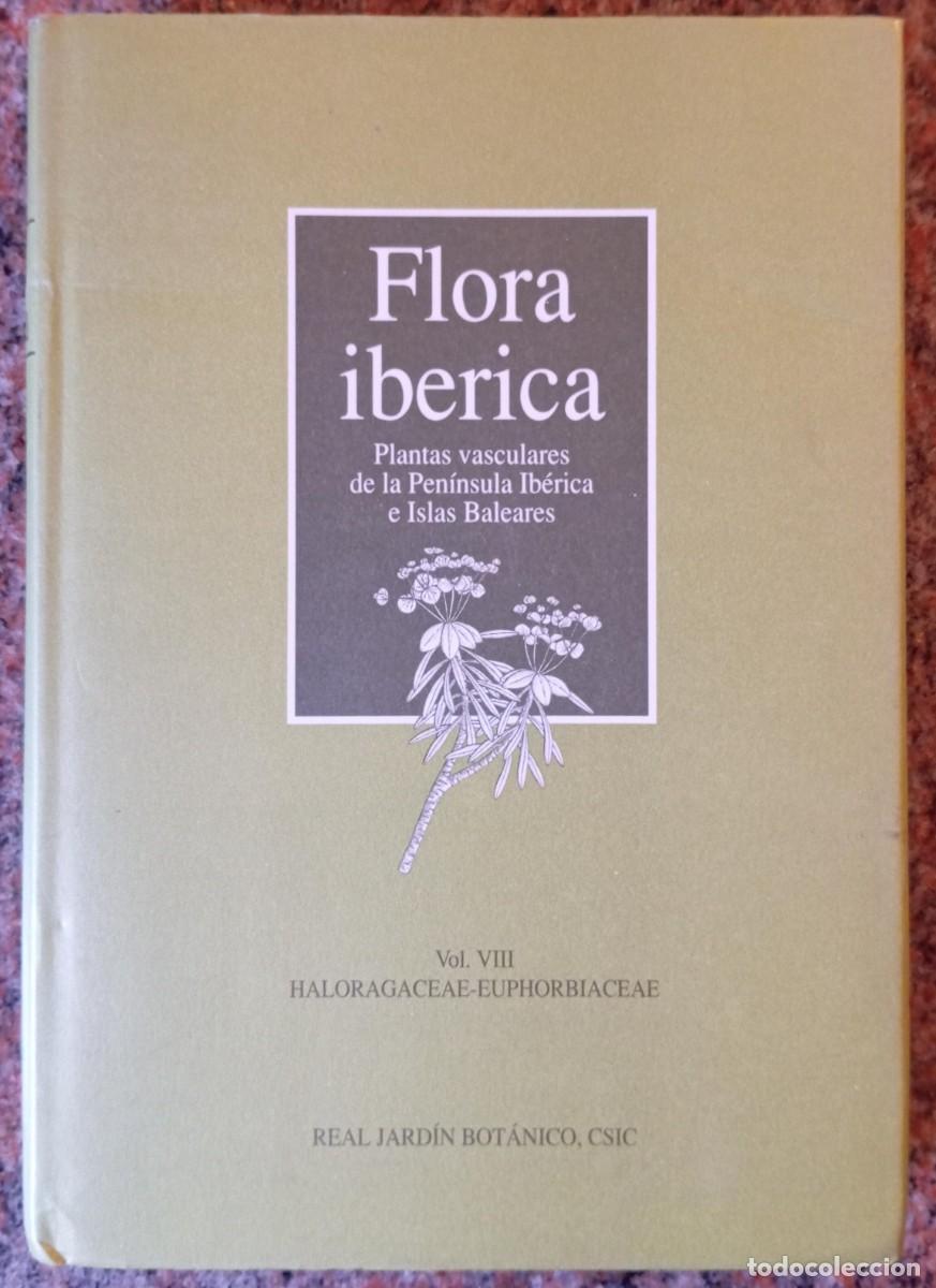 Libros de segunda mano: FLORA IBERICA VOL VIII - CSIC - Foto 1