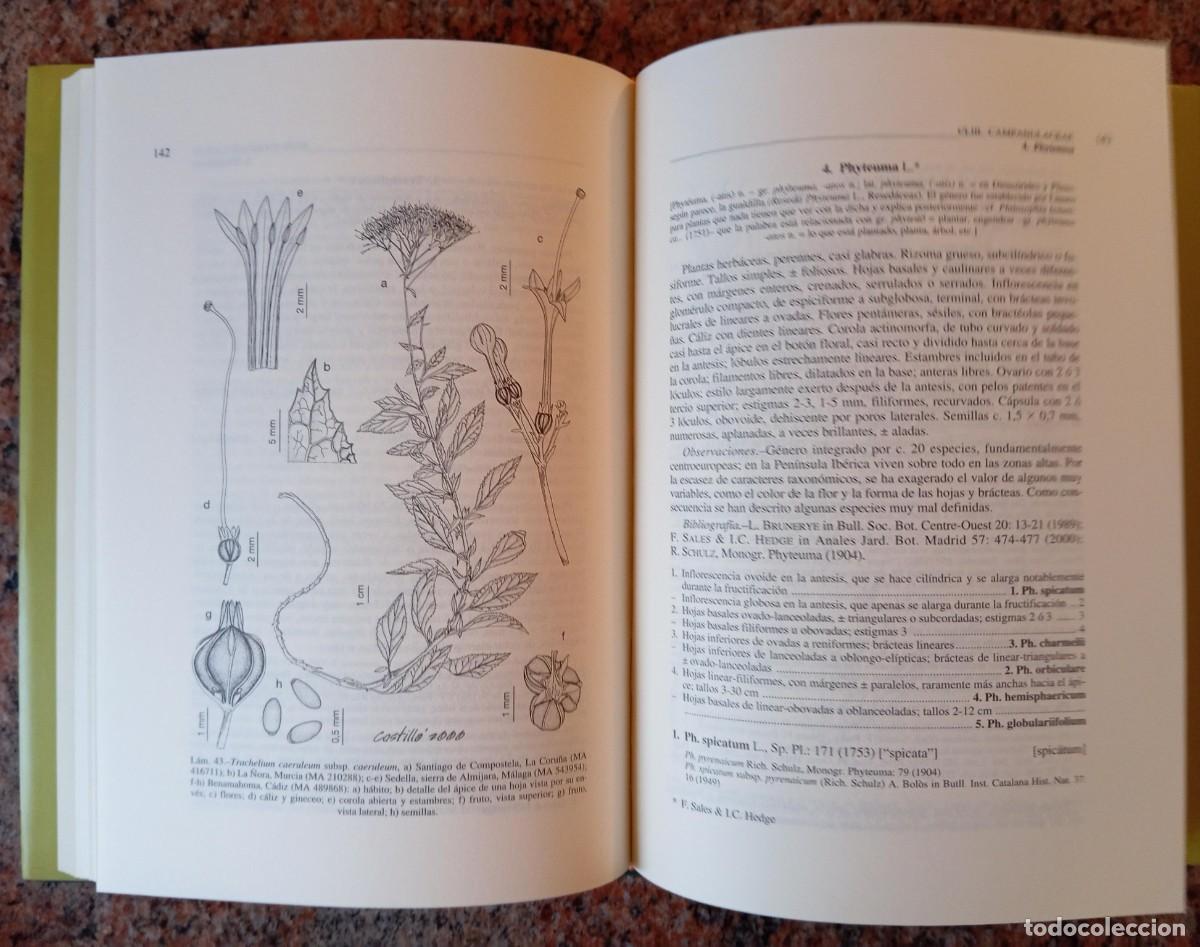 Libros de segunda mano: FLORA IBERICA VOL XIV - CSIC - Foto 2