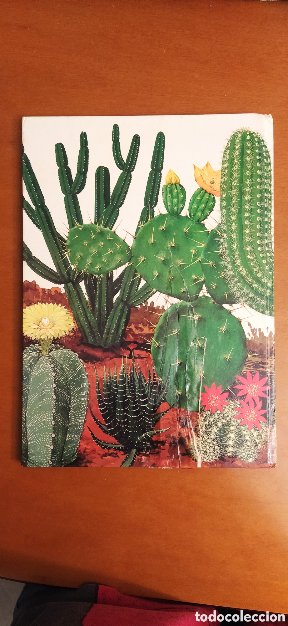 Libros de segunda mano: T&uacute; y la naturaleza 1977 - Foto 3