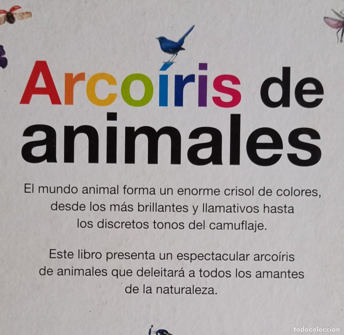 Libros de segunda mano: ARCOIRIS DE ANIMALES - SUSAETA - Foto 5
