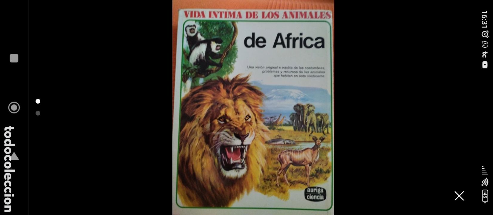 Libros de segunda mano: Vida &Iacute;ntima de los Animales. &Aacute;frica - Foto 1