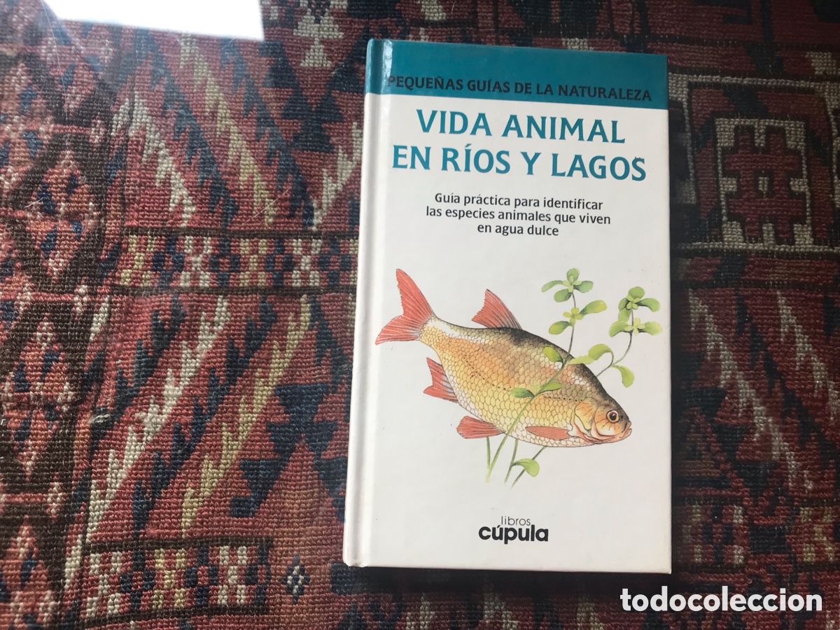 Libros de segunda mano: Vida animal en r&iacute;os y lagos. Libros, c&uacute;pula - Foto 1