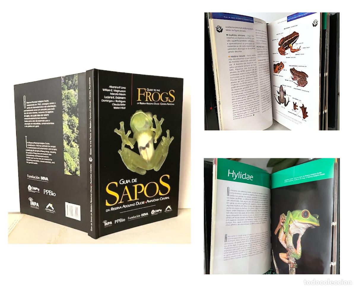 Libros de segunda mano: Guia de Sapos. Guide to the Frogs. (Ranas de la Amazonia Central - Foto 1
