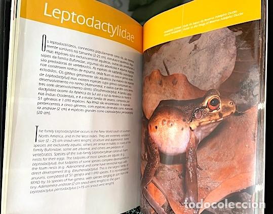 Libros de segunda mano: Guia de Sapos. Guide to the Frogs. (Ranas de la Amazonia Central - Foto 3