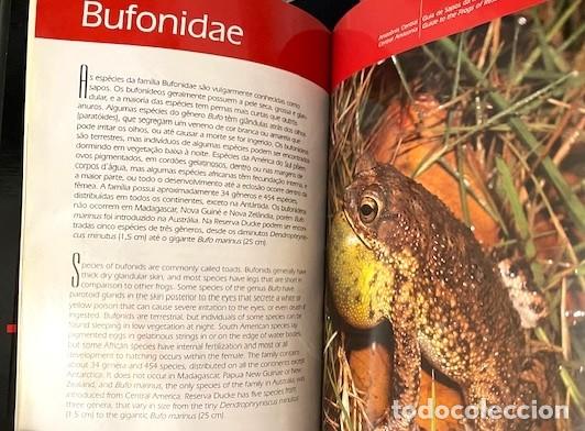 Libros de segunda mano: Guia de Sapos. Guide to the Frogs. (Ranas de la Amazonia Central - Foto 4