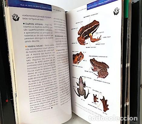 Libros de segunda mano: Guia de Sapos. Guide to the Frogs. (Ranas de la Amazonia Central - Foto 5