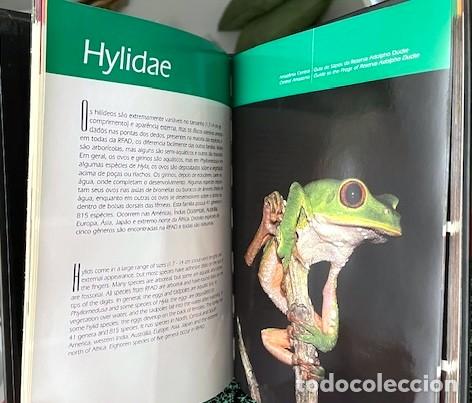 Libros de segunda mano: Guia de Sapos. Guide to the Frogs. (Ranas de la Amazonia Central - Foto 6