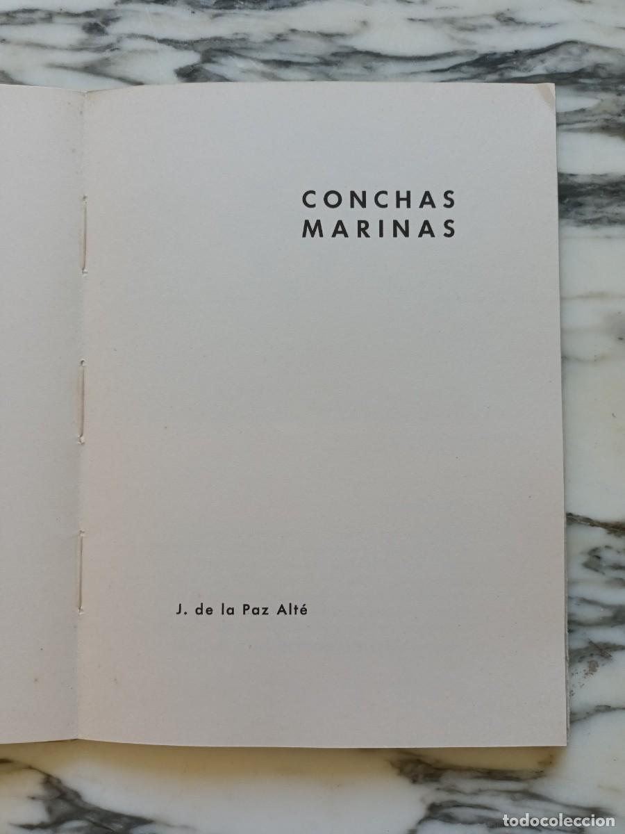 Libros de segunda mano: CONCHAS MARINAS - JOAQU&Iacute;N DE LA PAZ ALTE - COLECCI&Oacute;N MAR - 1966 - Foto 2