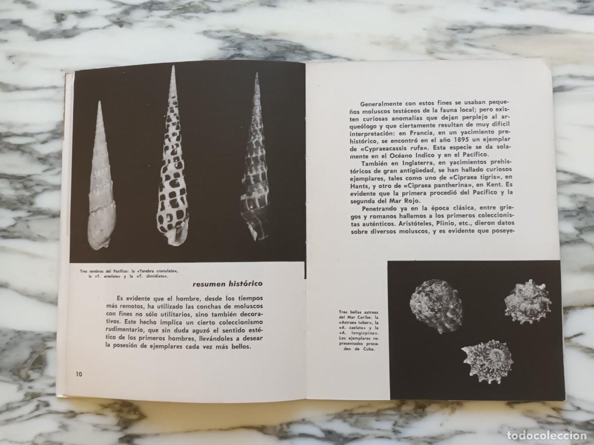Libros de segunda mano: CONCHAS MARINAS - JOAQU&Iacute;N DE LA PAZ ALTE - COLECCI&Oacute;N MAR - 1966 - Foto 4